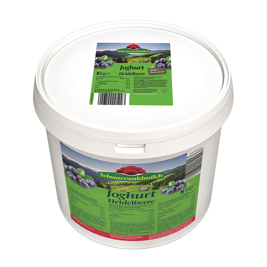 Fruchtjoghurt Heidelbeer 5 l 