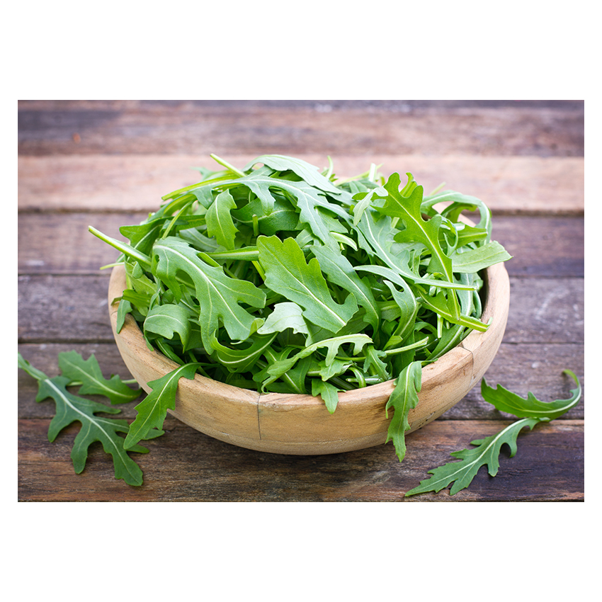 Rauke/​Rucola 